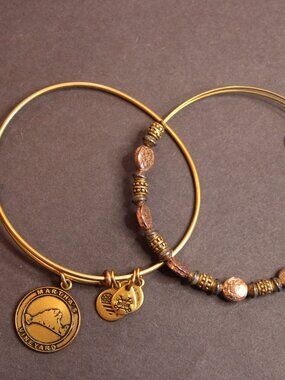 Alex and Ani 2-piece Martha's Vineyard gold bangle set